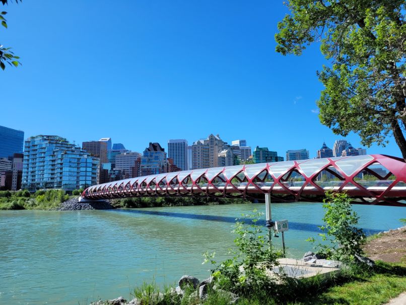 Peace bridge over bow river