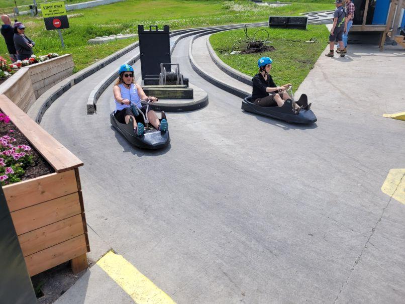 Skyline luge carts